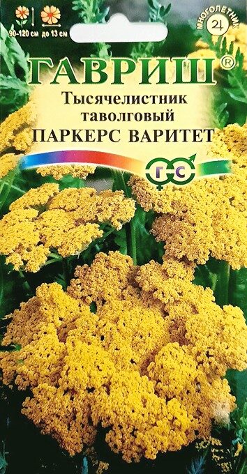 Тысячелистник Паркерс Варитет желтый