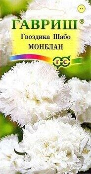 Гвоздика шабо Монблан