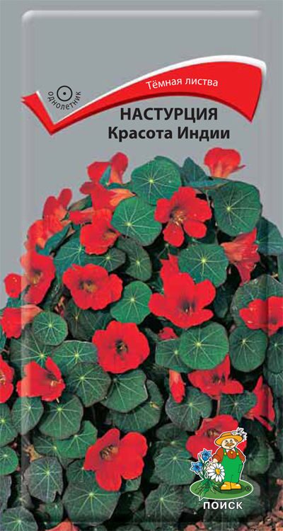 Настурция Красота Индии