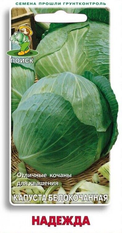 Капуста белокочанная Надежда