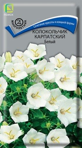 Колокольчик карпатский Белый