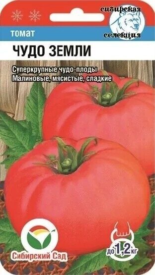 Томат Чудо Земли